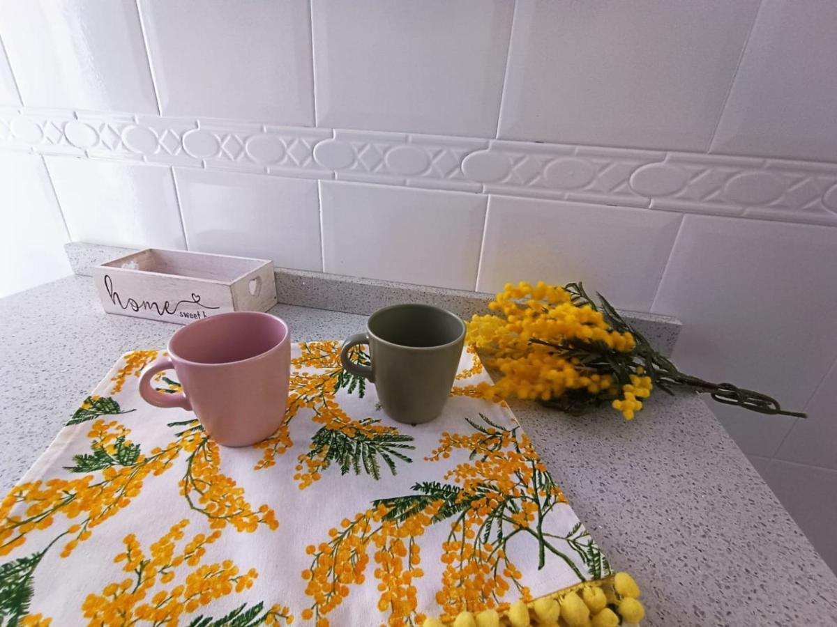 Mimosa Home Talavera de la Reina Dış mekan fotoğraf